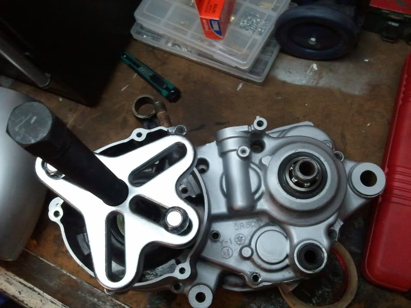 2010-10-08181743.jpg