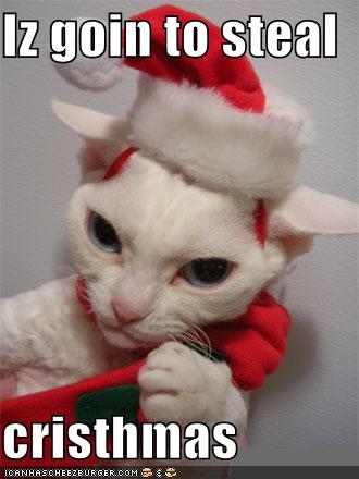 funny-pictures-cat-steals-christmas.jpg