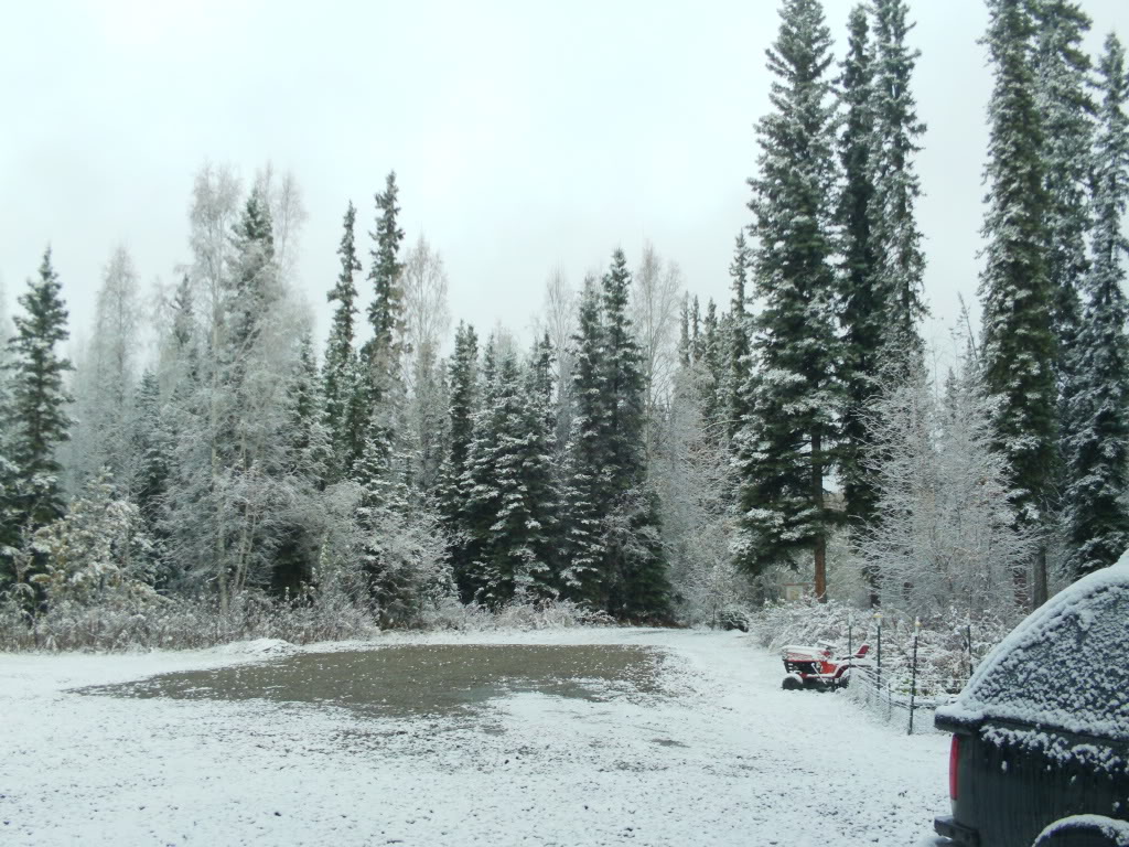 IMG00298.jpg