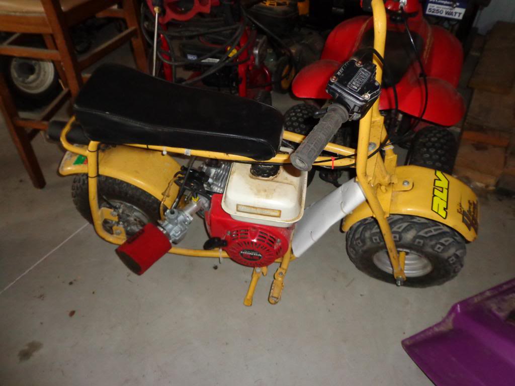 DSC02297.jpg
