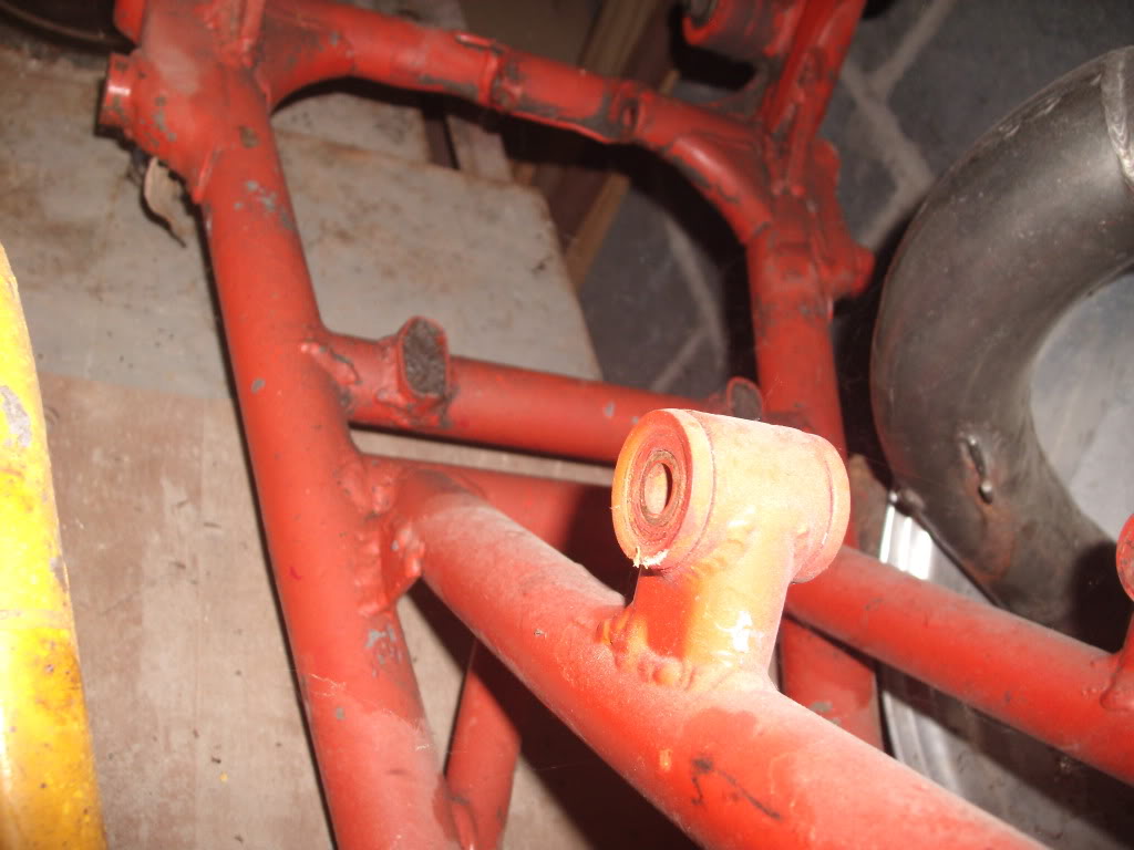 GEDC2324.jpg