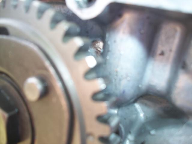 100_2269.jpg