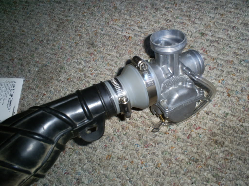 S5030245.jpg