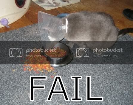 fail.jpg