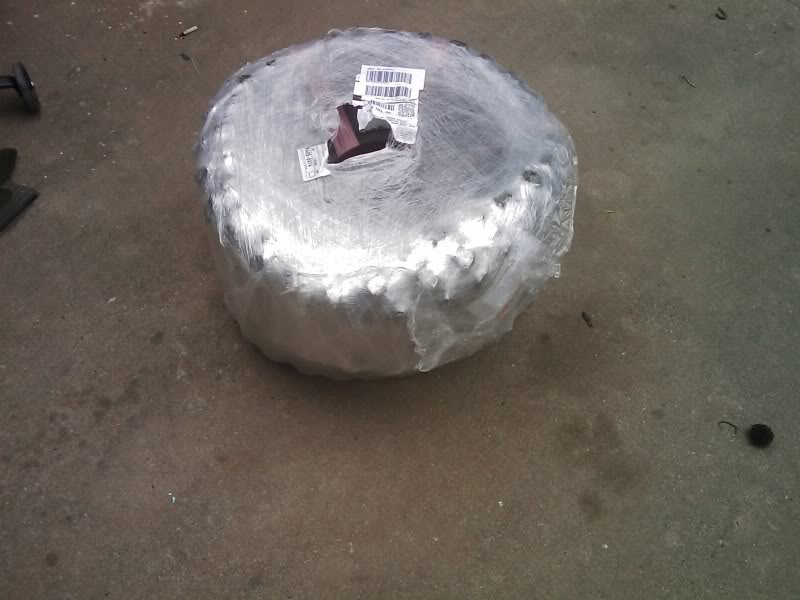 IMAG0169.jpg