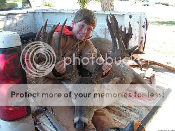 41ptdeer.jpg