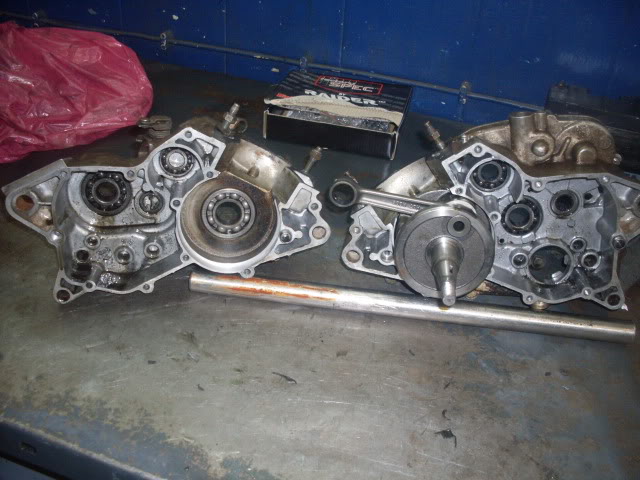 SDC11388.jpg