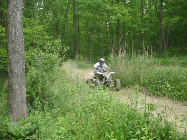 Picture017.jpg
