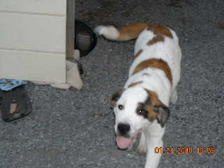 DSCN0619.jpg