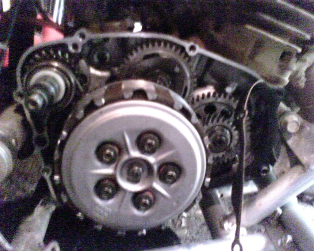 IMG00066.jpg