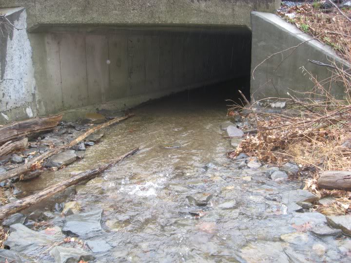 Thetunnelentrance.jpg