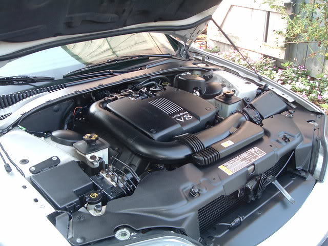 LSenginebay003.jpg