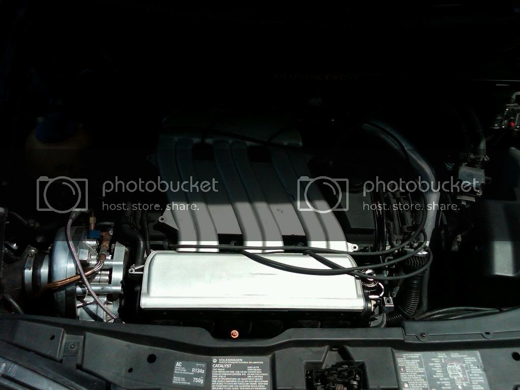 enginebay.jpg