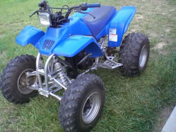 24nh7yx.jpg