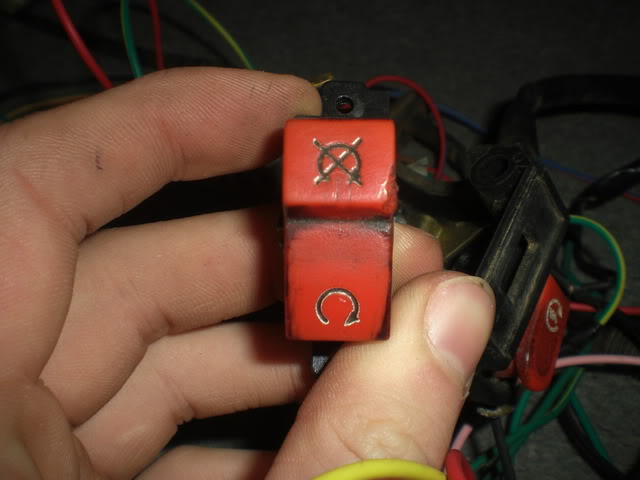 CIMG6110.jpg
