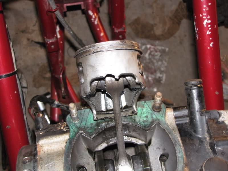 v6l0qs.jpg