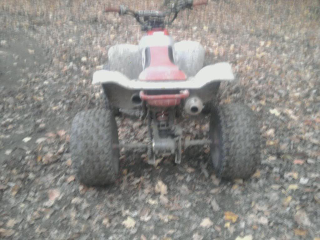 trx2.jpg