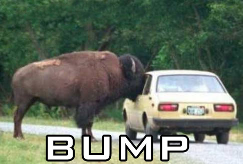 bump520.jpg