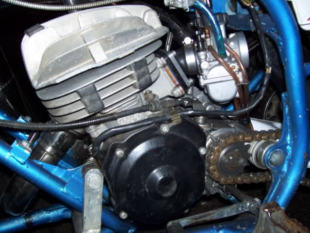 2w536fp.jpg