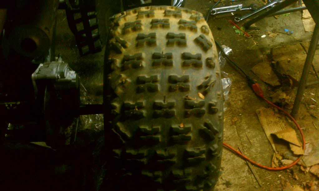 IMAG0272_zps813a6284.jpg