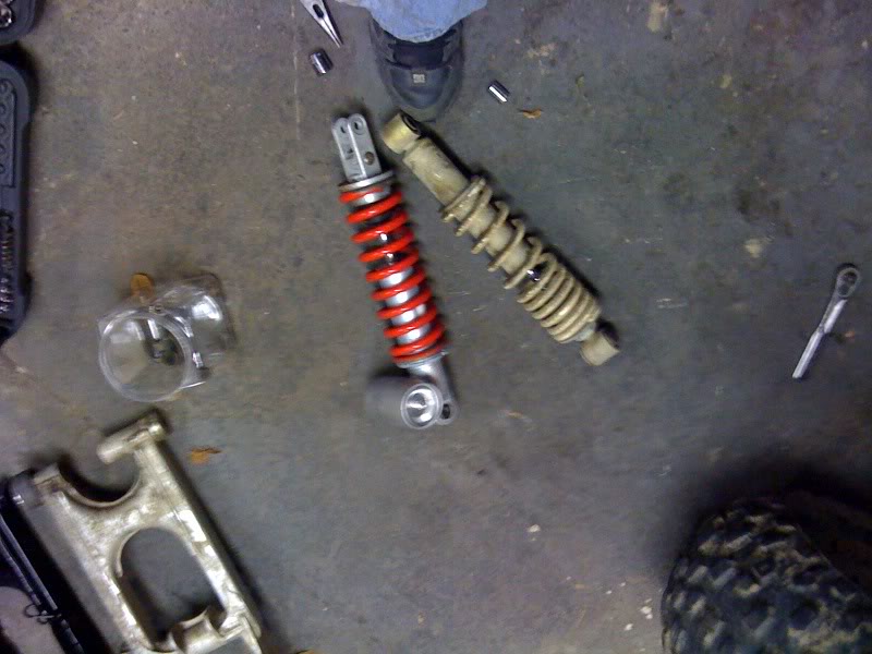 shocks.jpg