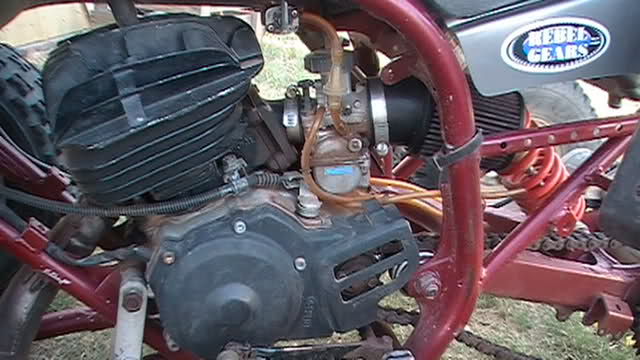 54mz7.jpg
