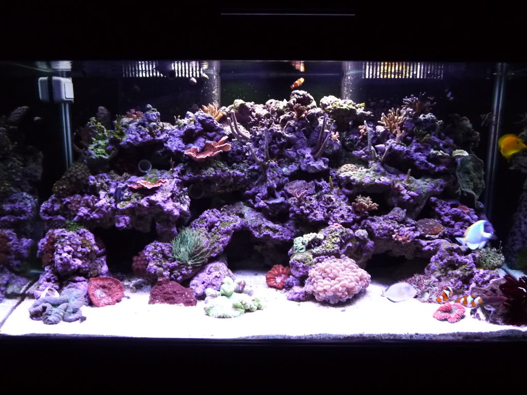 P1010222.jpg