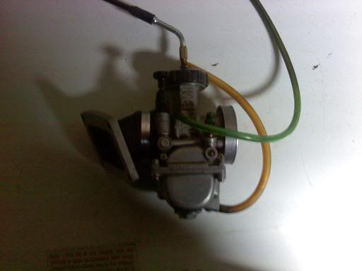downsized_1230091219.jpg