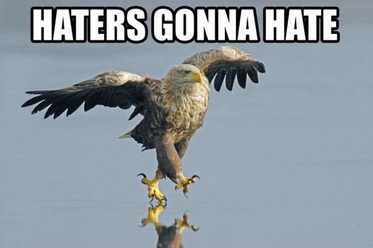 haters_gonna_hate_eagle-142651.jpg