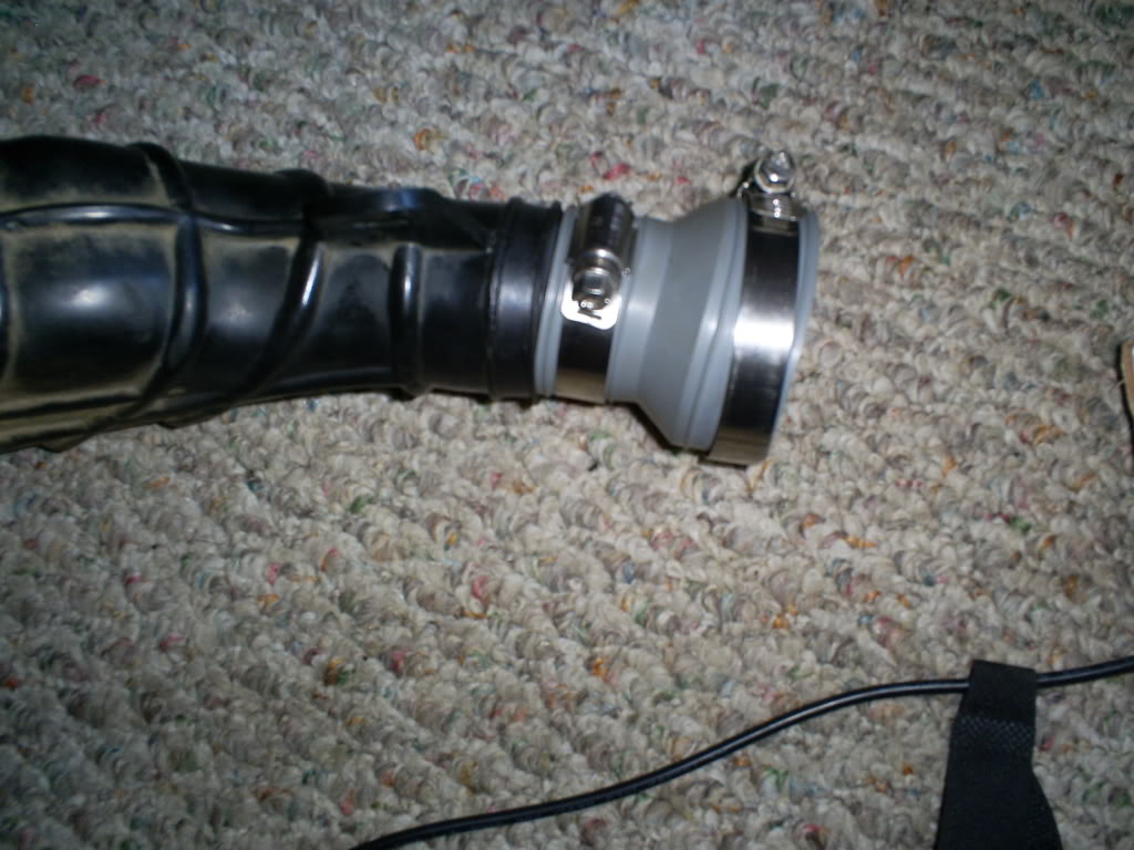S5030243.jpg