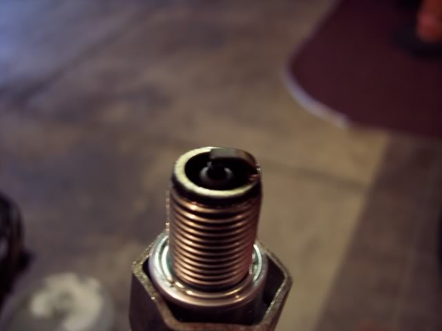 100_2867.jpg