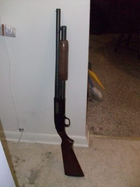 33p663c.jpg
