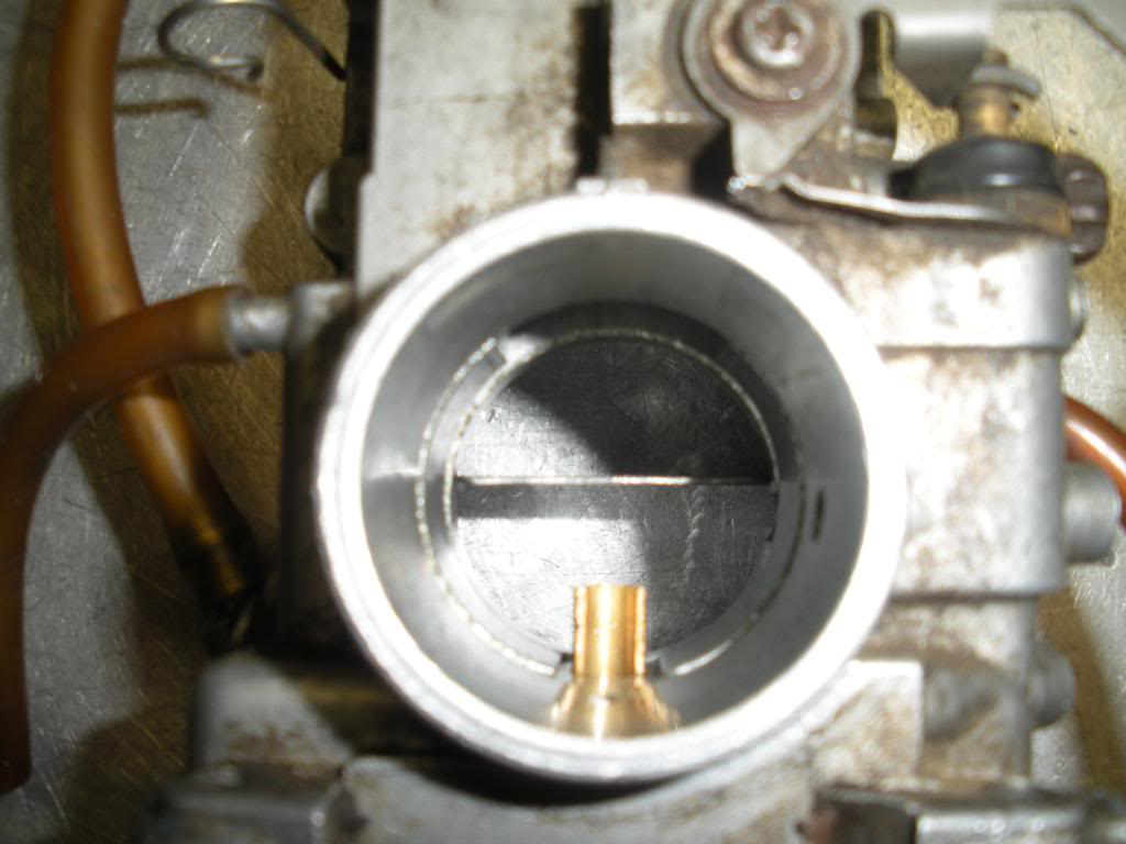 carbsquishvid003-1.jpg