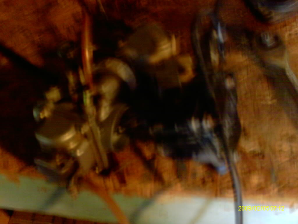 IMAG0086.jpg
