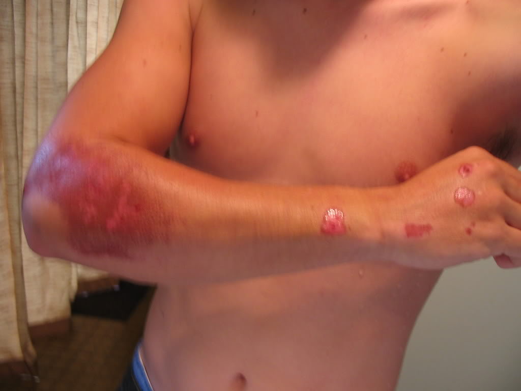 roadrash004.jpg