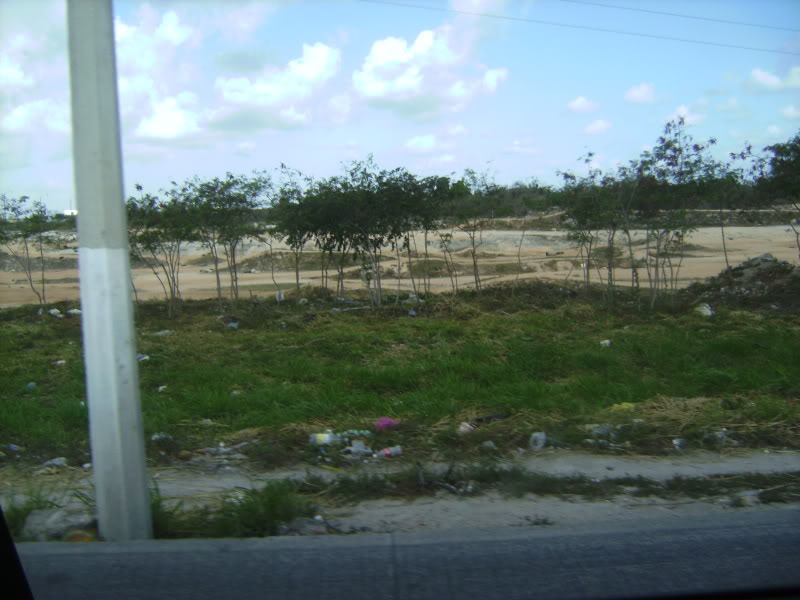 PICT0632.jpg