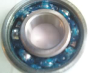 0424021524.jpg