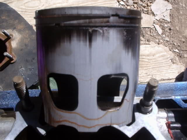 343oym8.jpg