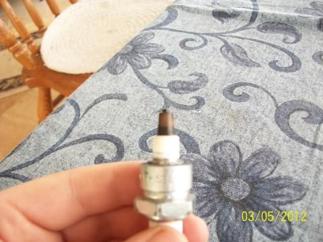 312b51i.jpg