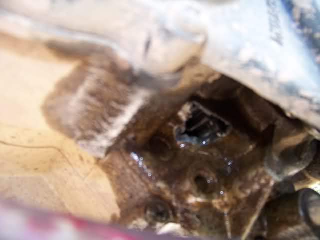 6z351x.jpg