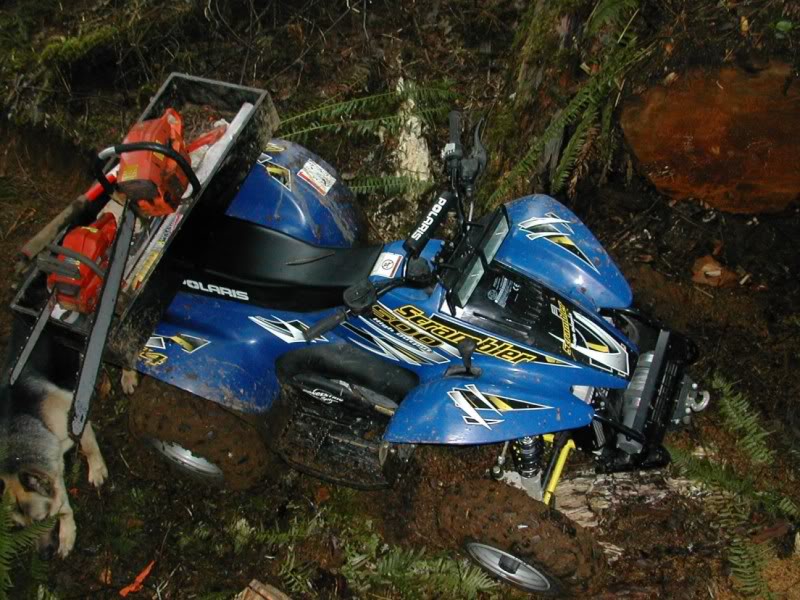Scramblertrail1.jpg