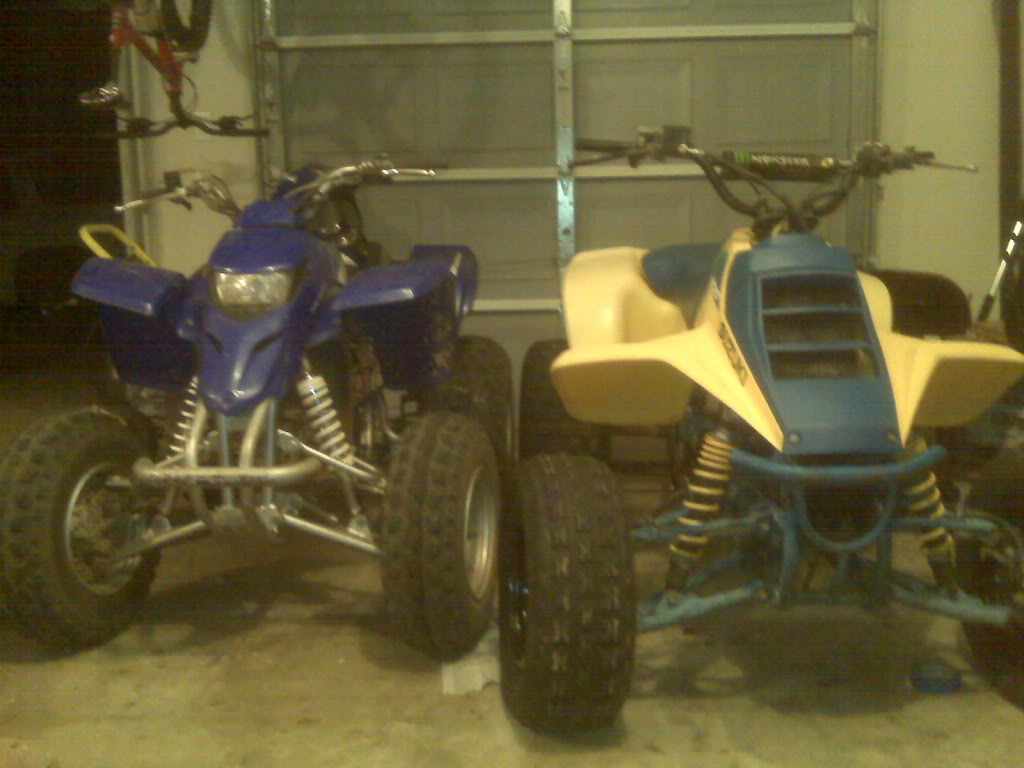 IMG00243.jpg
