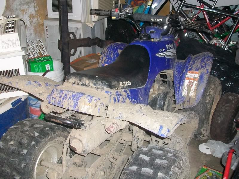 101e0831.jpg