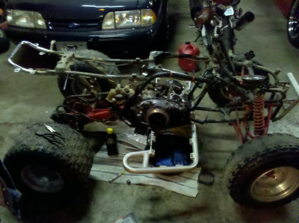 Bansheeteardown3.jpg