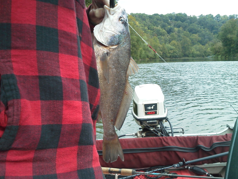 IMG_20120923_100205_zps47e11173.jpg