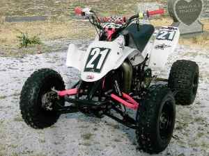 3mc3oe3lf5O15Y55U1a5tec3c19dc819814de.jpg