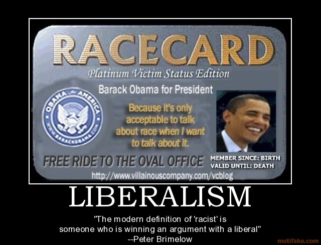 liberalism-obama-president-taxes-democrats-race-racist-racis-demotivational-poster-1232778698.jpg